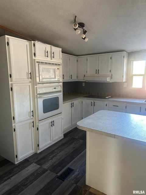 Tiny photo for 165 Nile Lane, Creal Springs, IL 62922 (MLS # QC4260353)