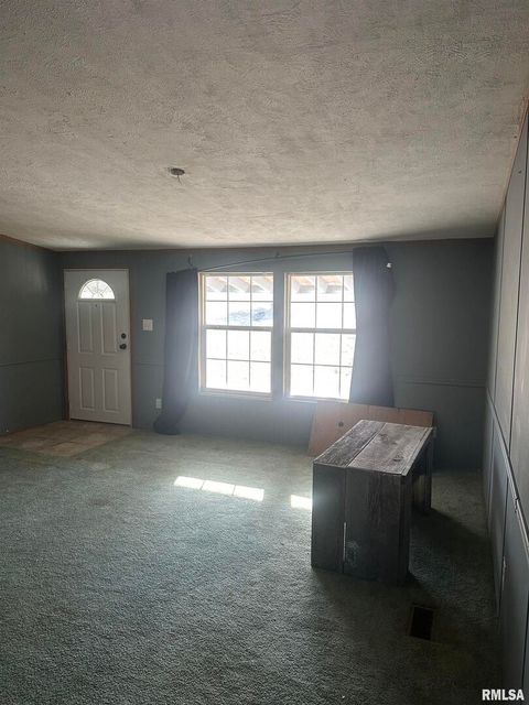 Tiny photo for 165 Nile Lane, Creal Springs, IL 62922 (MLS # QC4260353)