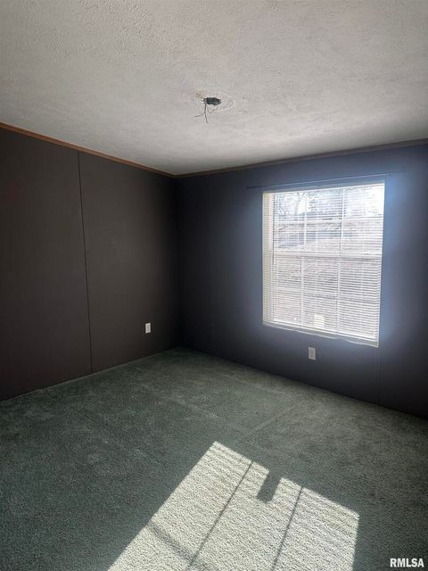 Tiny photo for 165 Nile Lane, Creal Springs, IL 62922 (MLS # QC4260353)