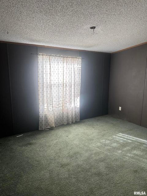 Tiny photo for 165 Nile Lane, Creal Springs, IL 62922 (MLS # QC4260353)