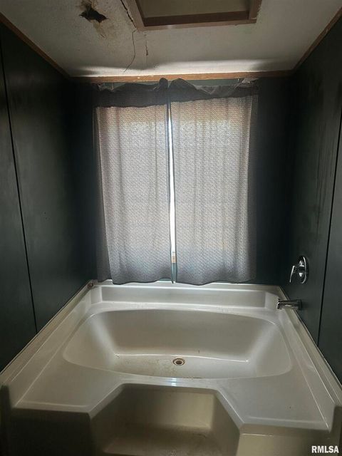 Tiny photo for 165 Nile Lane, Creal Springs, IL 62922 (MLS # QC4260353)