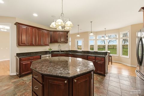 Tiny photo for 4453 E 2969th Road, Newark, IL 60541 (MLS # 12582483)