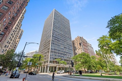 2400 N Lakeview Avenue 2202 Chicago IL 60614