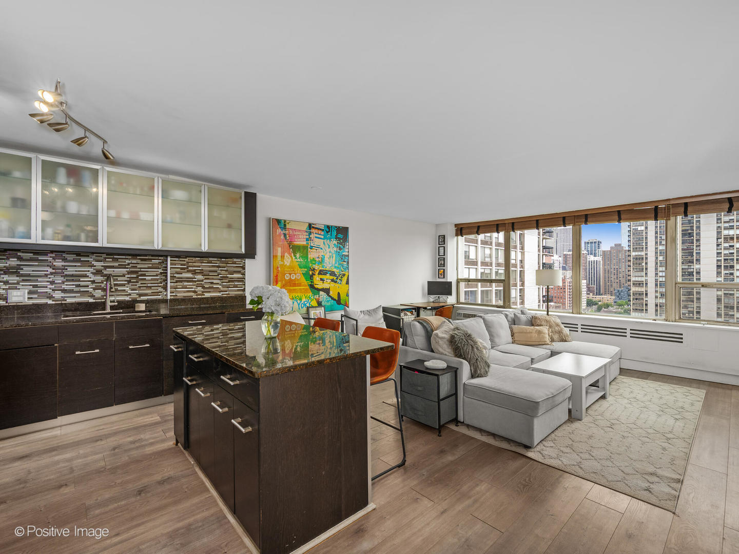 1460 N Sandburg Terrace 1703
