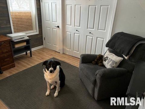 Tiny photo for 417 NE 2ND Street, Galva, IL 61434 (MLS # QC4270040)