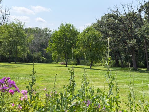 Tiny photo for 1N424 Indian Knoll Road, West Chicago, IL 60185 (MLS # 12633419)
