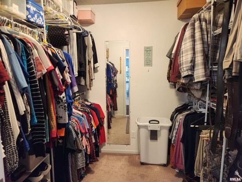 Tiny photo for 15766 E Tilton Road, Ina, IL 62846 (MLS # EB460507)