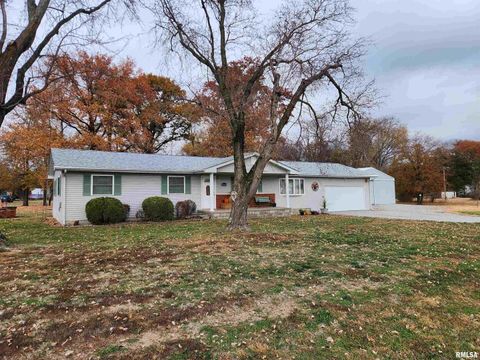 Tiny photo for 15766 E Tilton Road, Ina, IL 62846 (MLS # EB460507)