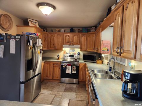 Tiny photo for 15766 E Tilton Road, Ina, IL 62846 (MLS # EB460507)