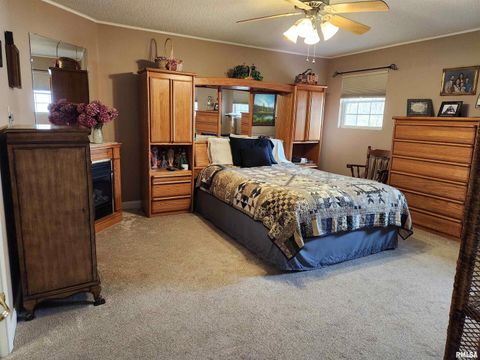 Tiny photo for 15766 E Tilton Road, Ina, IL 62846 (MLS # EB460507)