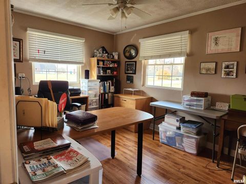 Tiny photo for 15766 E Tilton Road, Ina, IL 62846 (MLS # EB460507)