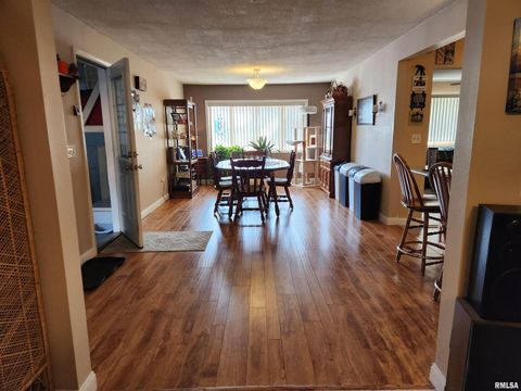 Tiny photo for 15766 E Tilton Road, Ina, IL 62846 (MLS # EB460507)