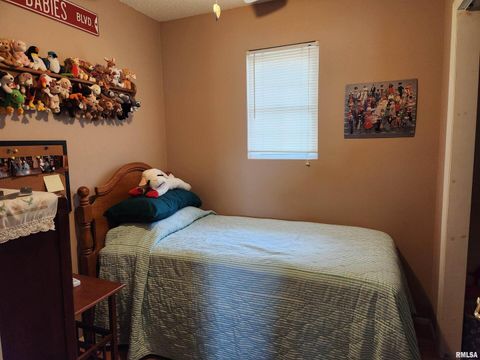 Tiny photo for 15766 E Tilton Road, Ina, IL 62846 (MLS # EB460507)