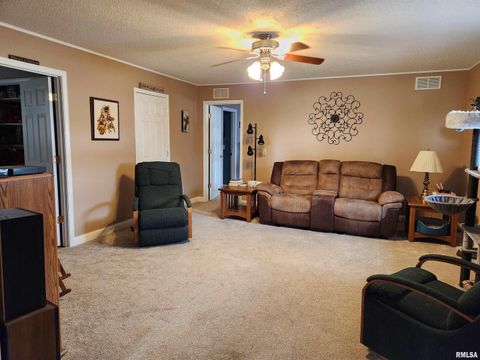 Tiny photo for 15766 E Tilton Road, Ina, IL 62846 (MLS # EB460507)