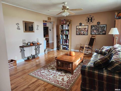 Tiny photo for 15766 E Tilton Road, Ina, IL 62846 (MLS # EB460507)