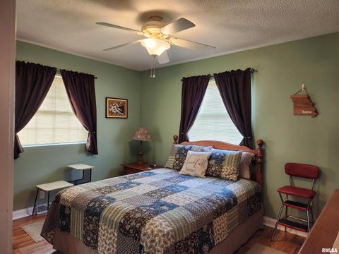 Tiny photo for 15766 E Tilton Road, Ina, IL 62846 (MLS # EB460507)