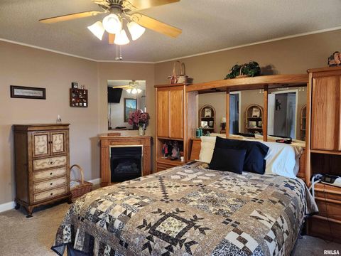 Tiny photo for 15766 E Tilton Road, Ina, IL 62846 (MLS # EB460507)