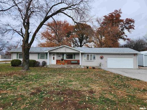 Tiny photo for 15766 E Tilton Road, Ina, IL 62846 (MLS # EB460507)
