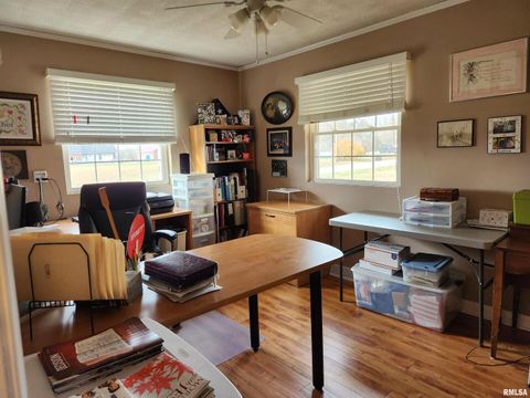 Tiny photo for 15766 E Tilton Road, Ina, IL 62846 (MLS # EB460507)