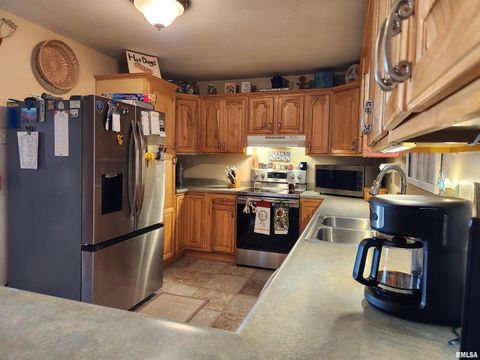 Tiny photo for 15766 E Tilton Road, Ina, IL 62846 (MLS # EB460507)