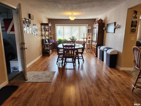 Tiny photo for 15766 E Tilton Road, Ina, IL 62846 (MLS # EB460507)