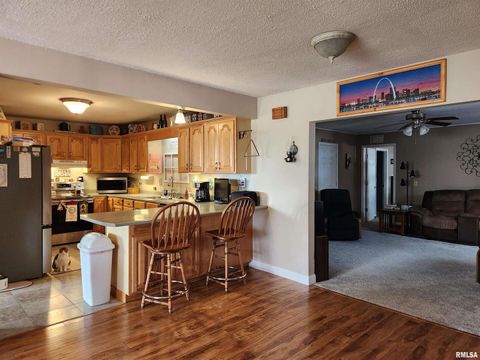 Tiny photo for 15766 E Tilton Road, Ina, IL 62846 (MLS # EB460507)