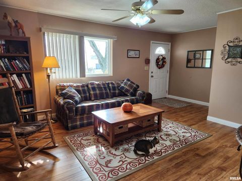 Tiny photo for 15766 E Tilton Road, Ina, IL 62846 (MLS # EB460507)