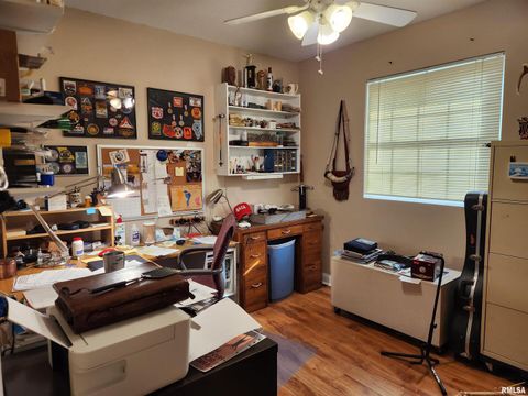 Tiny photo for 15766 E Tilton Road, Ina, IL 62846 (MLS # EB460507)