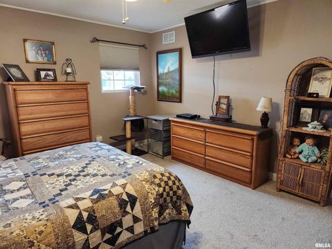 Tiny photo for 15766 E Tilton Road, Ina, IL 62846 (MLS # EB460507)