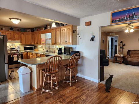 Tiny photo for 15766 E Tilton Road, Ina, IL 62846 (MLS # EB460507)