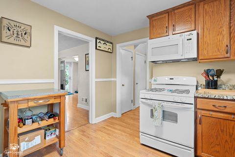 Tiny photo for 515 Cornelia Street, Joliet, IL 60435 (MLS # 12479143)