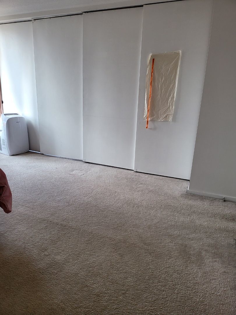 899 S Plymouth Court 1806