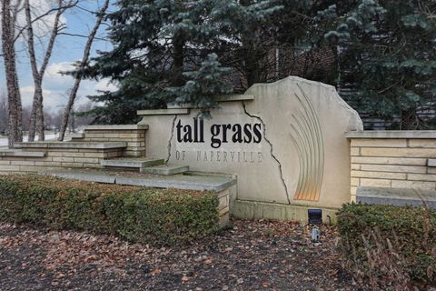 Tiny photo for 3807 Landsdown Avenue, Naperville, IL 60564 (MLS # 12540099)