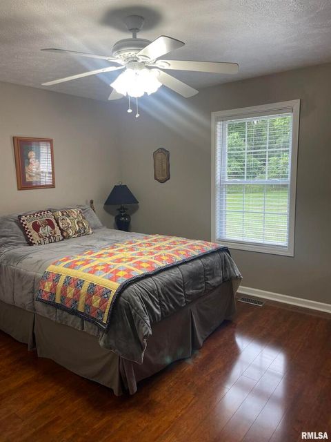 Tiny photo for 117 Jeremy Drive, Carterville, IL 62918 (MLS # QC4267009)