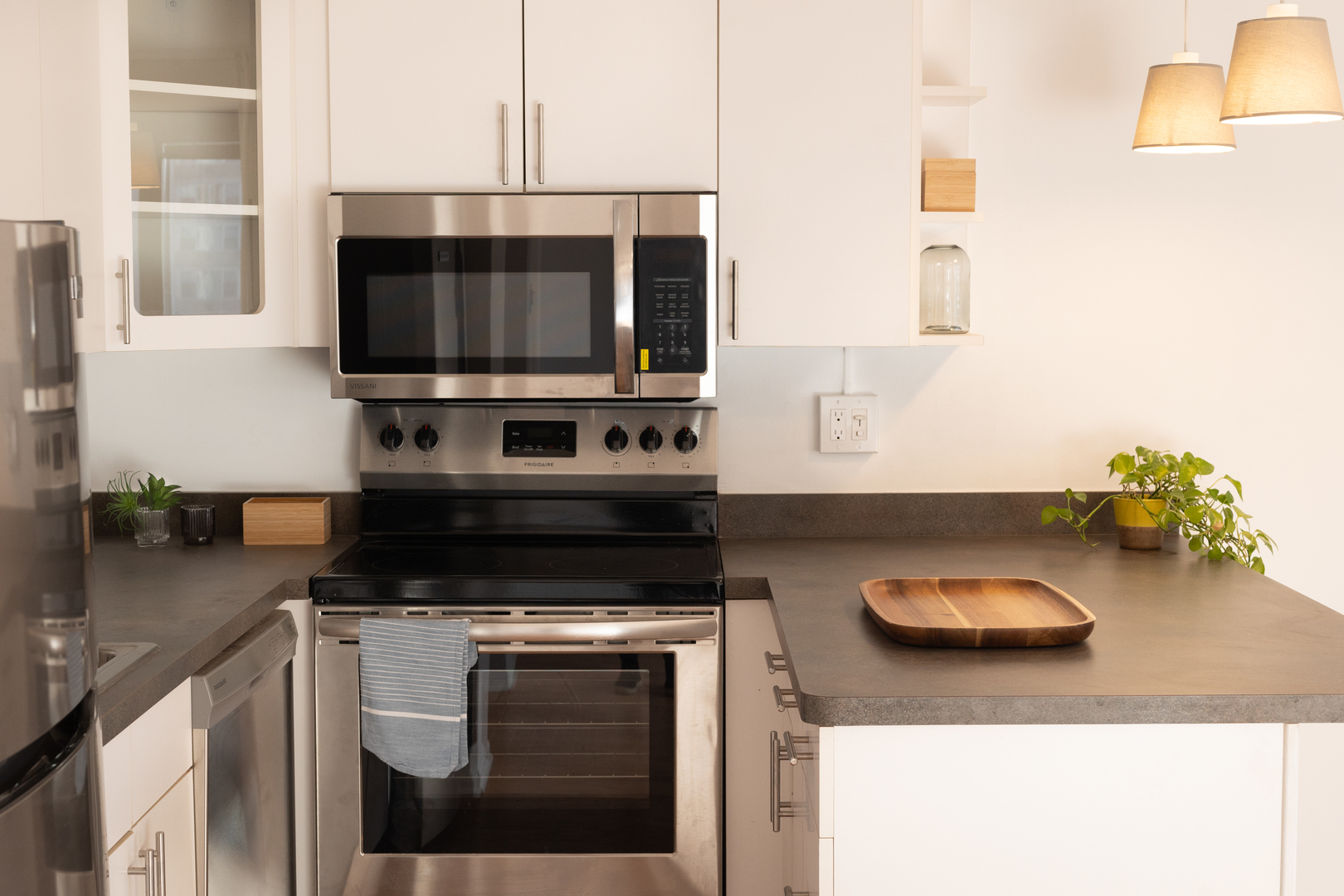 3100 N Lake Shore Drive 1103