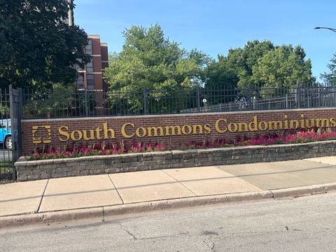 3021 S Michigan Avenue 311 Chicago IL 60616