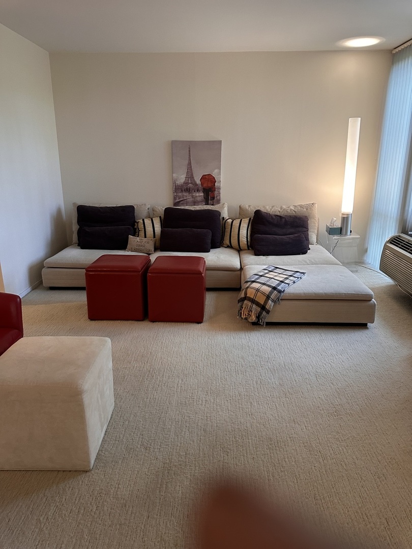 3021 S Michigan Avenue 311