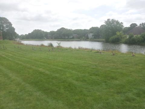 Tiny photo for 1480 Stonebridge Circle #D-1, Wheaton, IL 60189 (MLS # 12692217)