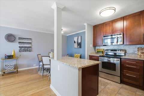 Tiny photo for 155 N Harbor Drive #4905, Chicago, IL 60601 (MLS # 12749804)