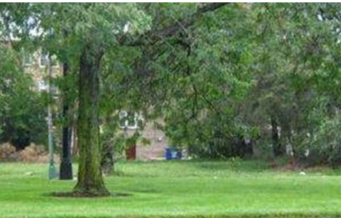 8314 S Stony Island Avenue