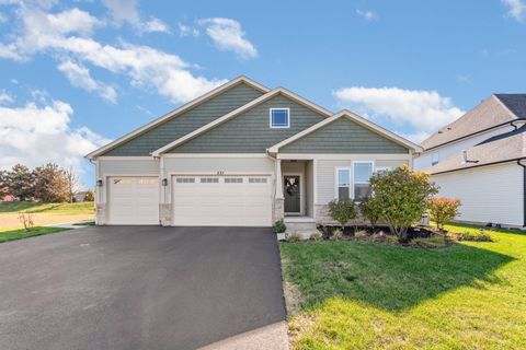 531 W Meadowdale Circle Hampshire IL 60140