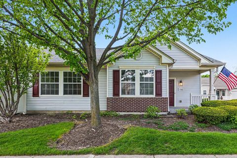 11745 River Terrace Lane Huntley IL 60142
