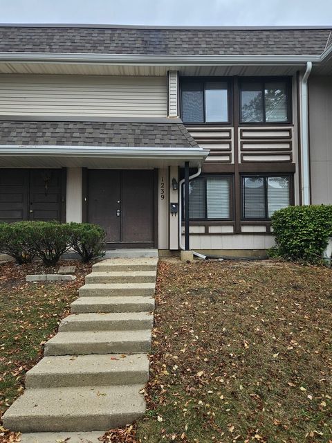 Photo of 1239 SAN SIMEON Drive, Hanover Park, IL 60133 (MLS # 12493610)