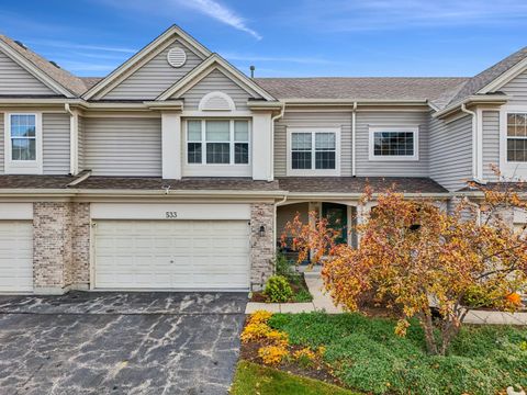 Tiny photo for 533 Blue Springs Drive, Fox Lake, IL 60020 (MLS # 12507323)