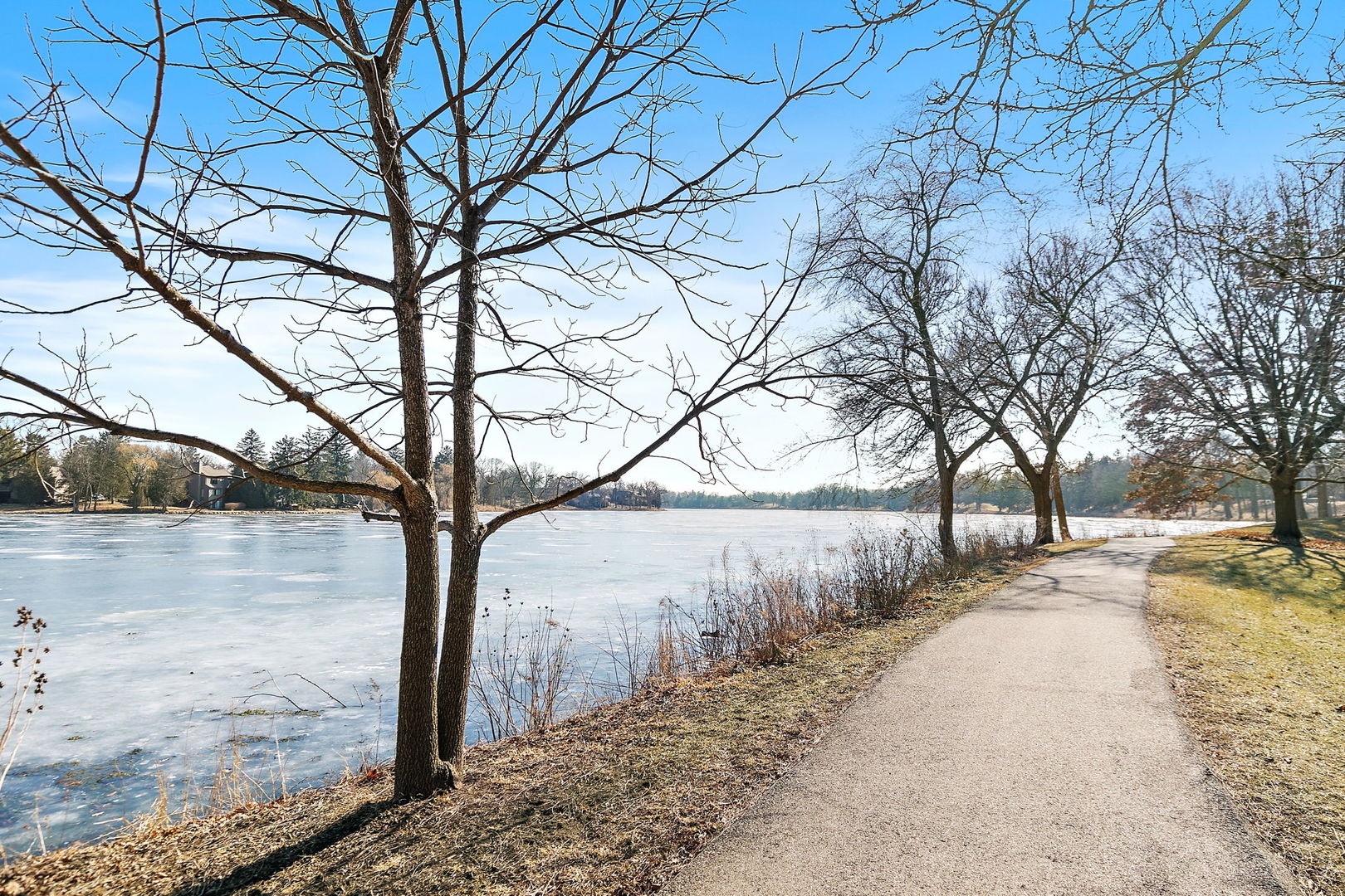 709 Woodbridge Court 709