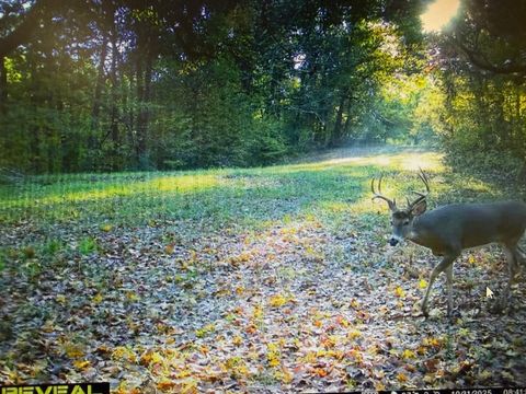 Tiny photo for 207 Kennedy Road, Carbondale, IL 62903 (MLS # 12607660)