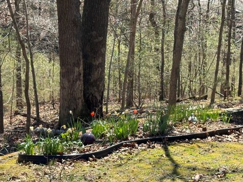 Tiny photo for 207 Kennedy Road, Carbondale, IL 62903 (MLS # 12607660)