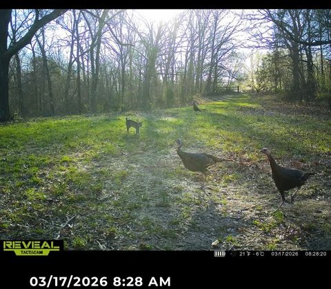 Tiny photo for 207 Kennedy Road, Carbondale, IL 62903 (MLS # 12607660)