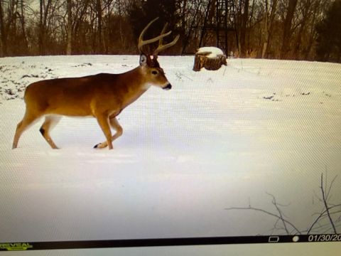 Tiny photo for 207 Kennedy Road, Carbondale, IL 62903 (MLS # 12607660)