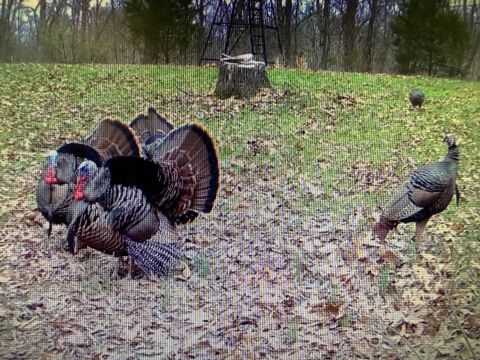 Tiny photo for 207 Kennedy Road, Carbondale, IL 62903 (MLS # 12607660)